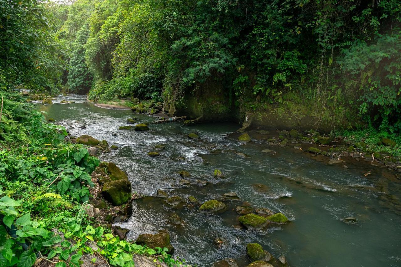 The Pyramid Ubud River Villas Payangan Exteriör bild